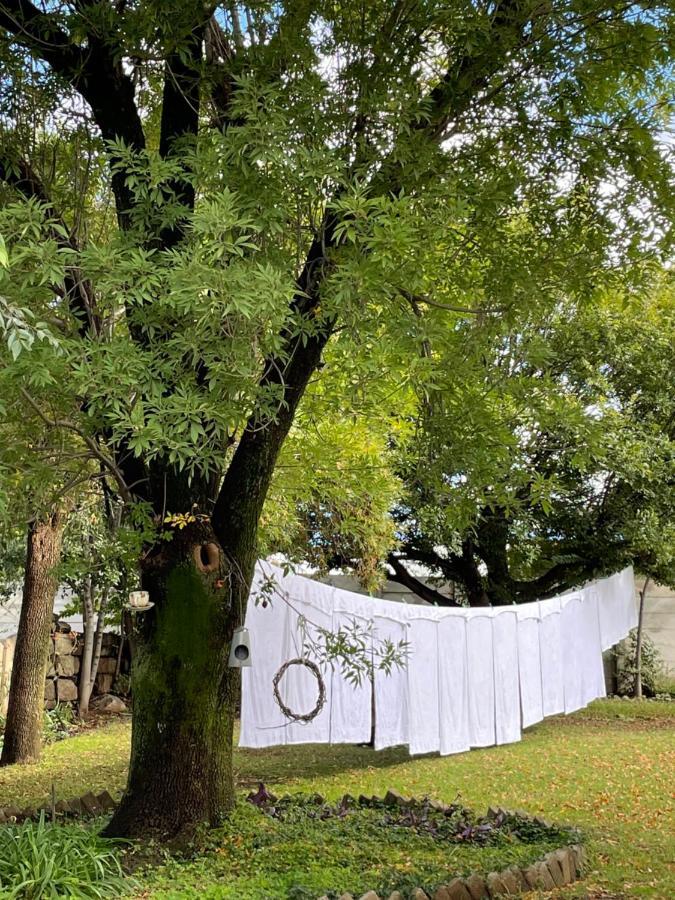 At The River Guest House Kroonstad Exterior photo